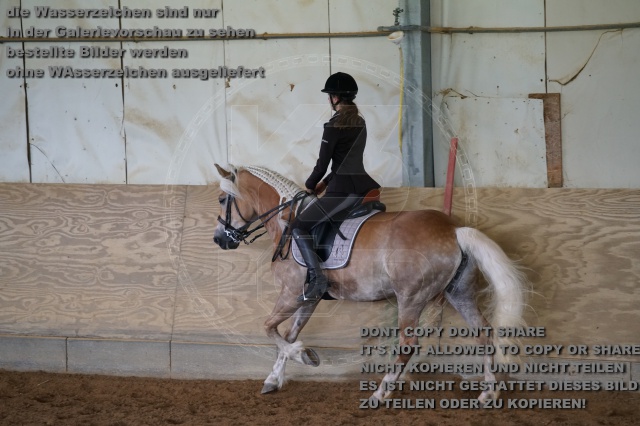 s_K3F04189.JPG
